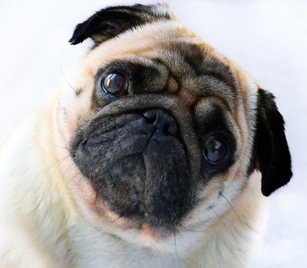 Fiddling While Rome Burns